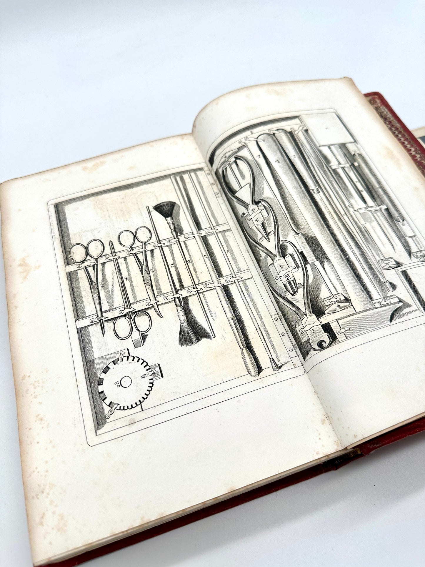 Histoire Naturelle Des Oiseaux D’Europe by Florent Prevost & Dr Lemaire