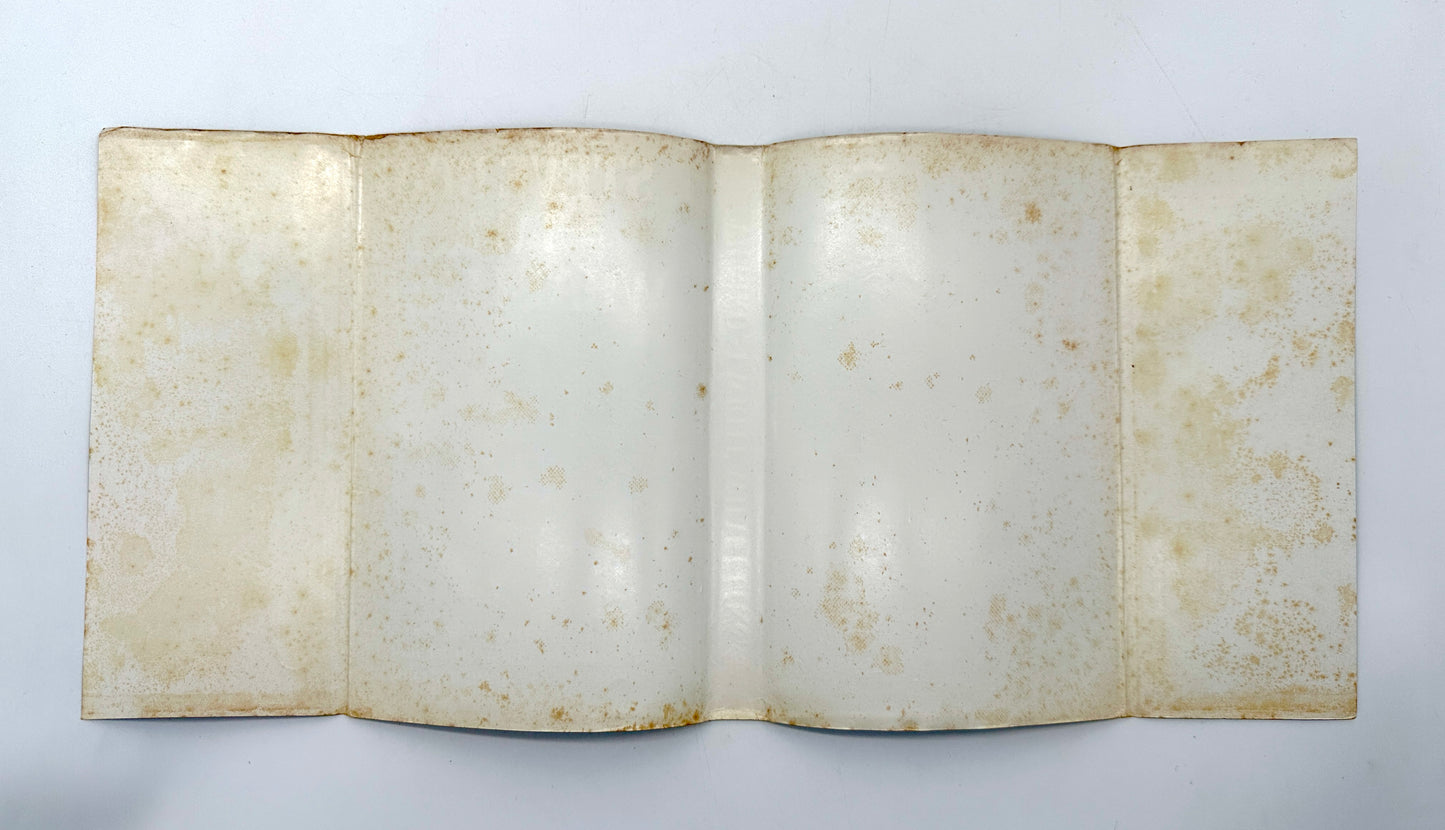 I Write What I Like by Steve Biko (1st Edition)