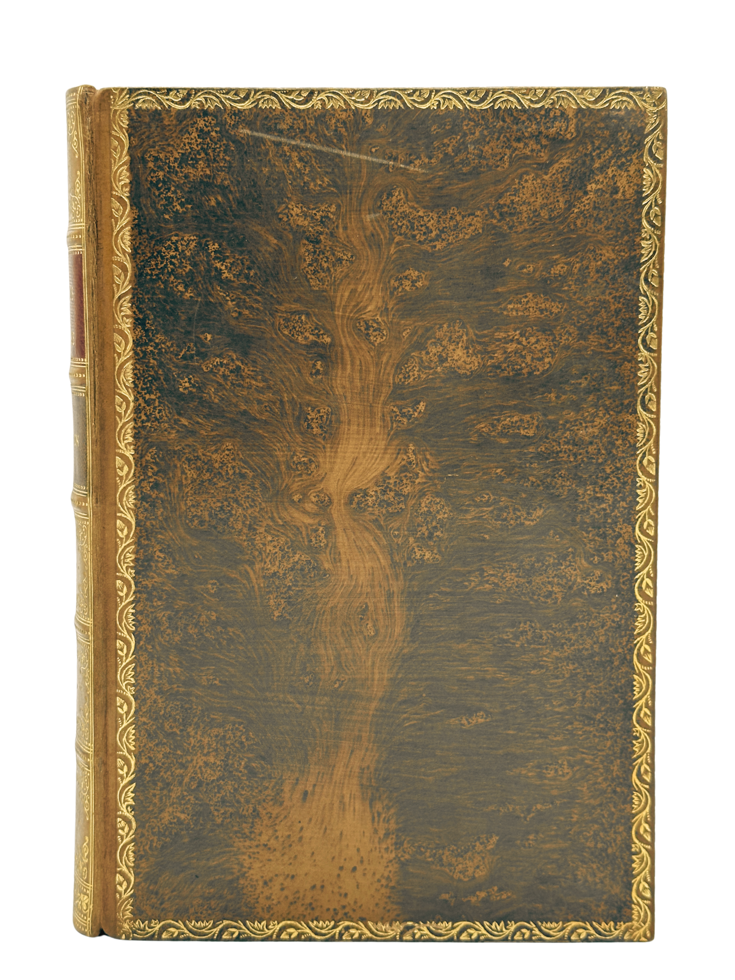 Myths & Legends of the Celtic Race by T.W. Rolleston (1st Edition)