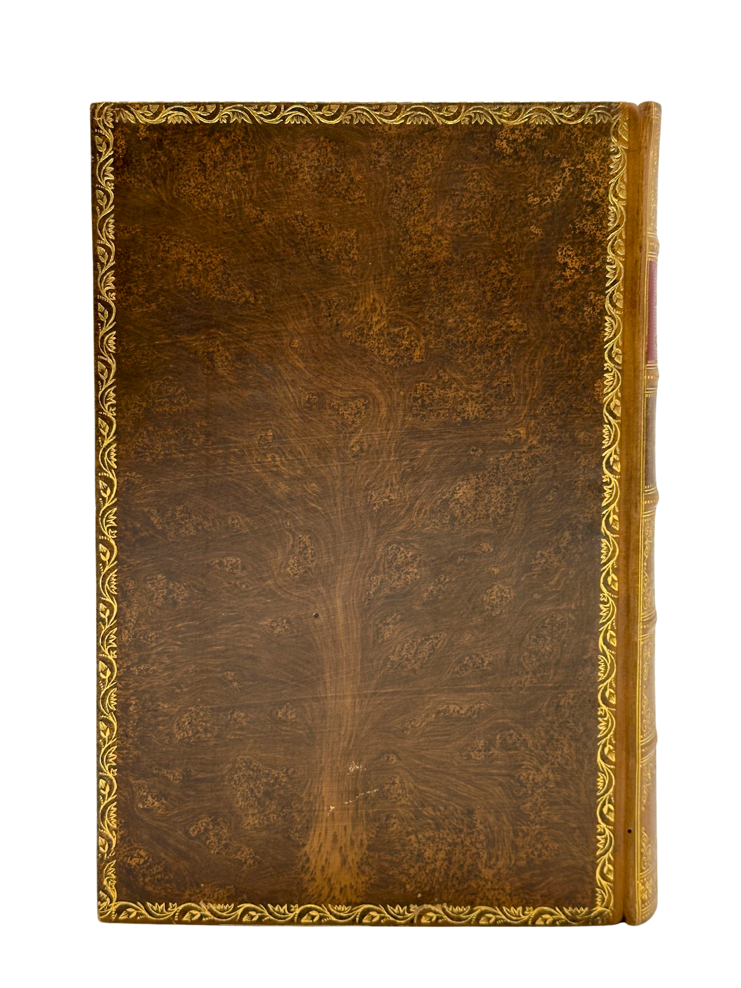 Myths & Legends of the Celtic Race by T.W. Rolleston (1st Edition)