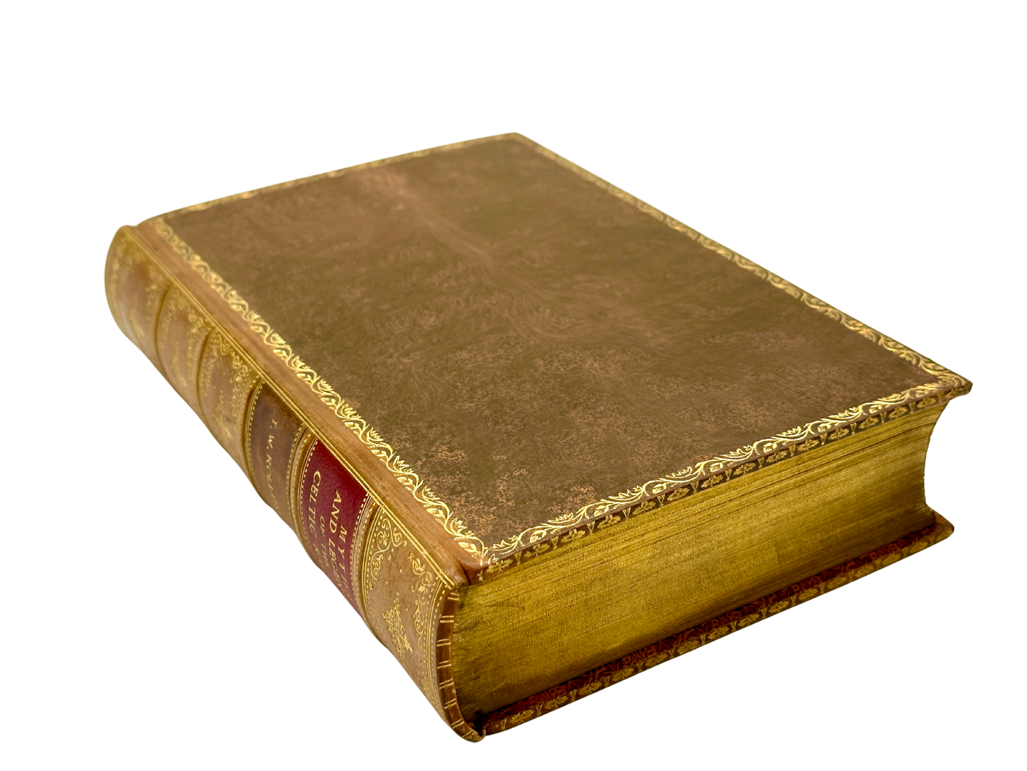 Myths & Legends of the Celtic Race by T.W. Rolleston (1st Edition)