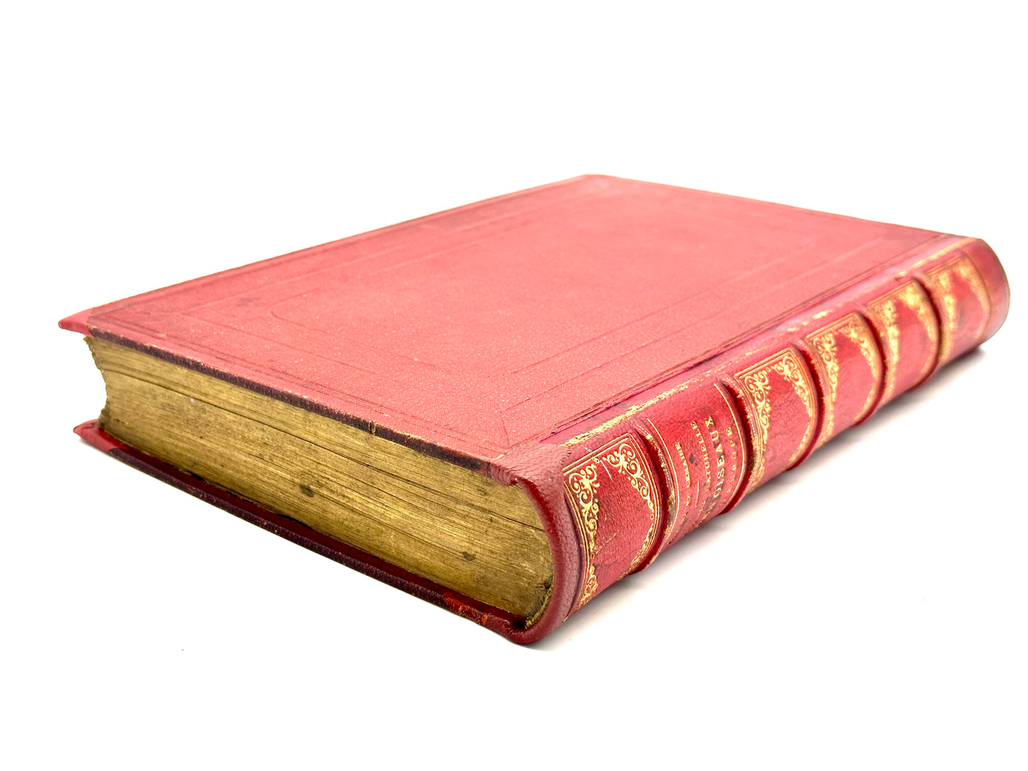 Histoire Naturelle Des Oiseaux D’Europe by Florent Prevost & Dr Lemaire