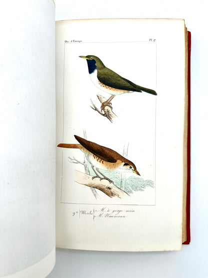 Histoire Naturelle Des Oiseaux D’Europe by Florent Prevost & Dr Lemaire