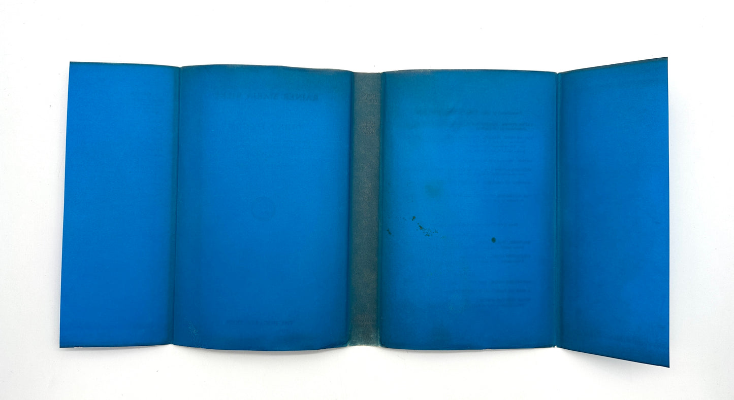 Duino Elegies by Rainer Maria Rilke