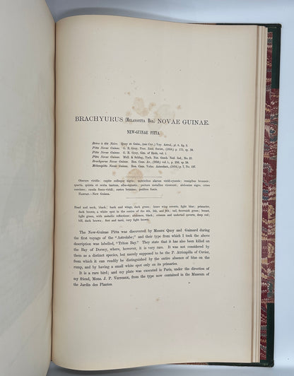 A Monograph of the Pittidae, or, Family of Ant Thrushes by D.G. Elliot (1st Edition)