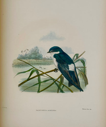 A Monograph of the Hirundiniddae or Family of Swallows by R. Bowdler Sharpe