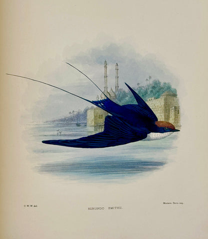 A Monograph of the Hirundiniddae or Family of Swallows by R. Bowdler Sharpe