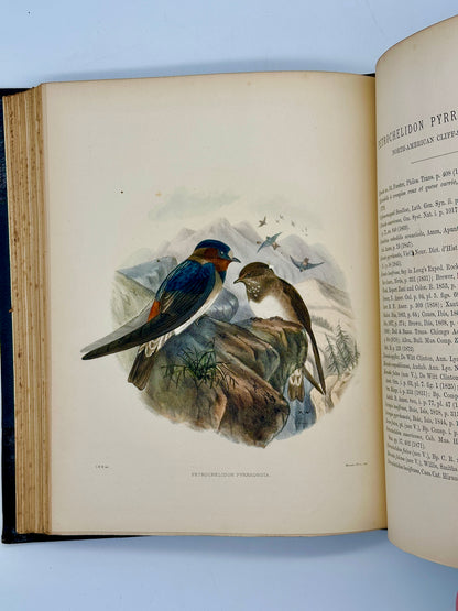 A Monograph of the Hirundiniddae or Family of Swallows by R. Bowdler Sharpe