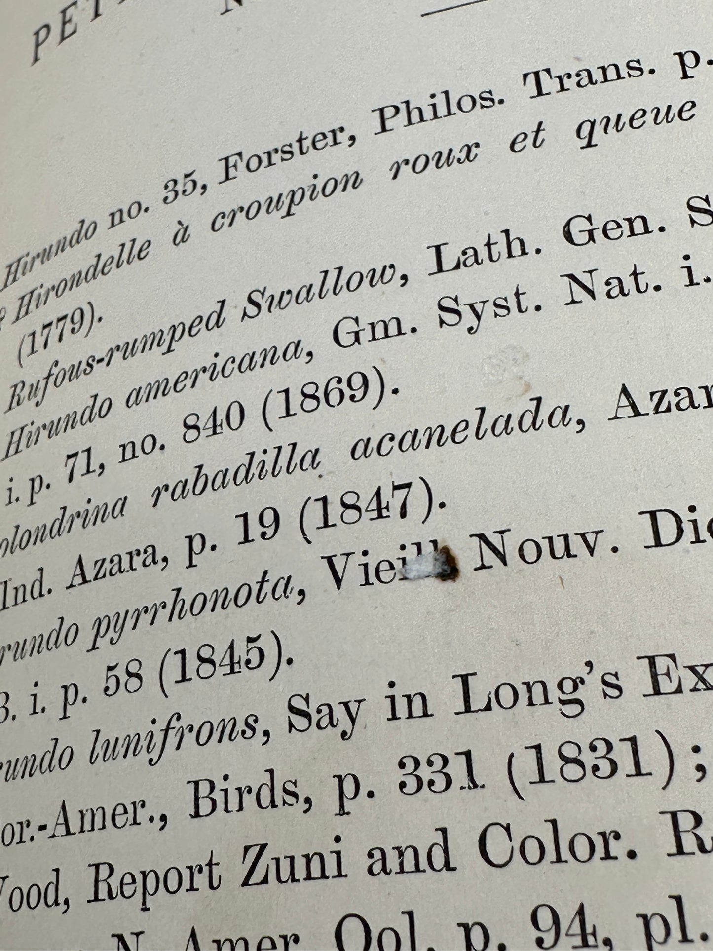 A Monograph of the Hirundiniddae or Family of Swallows by R. Bowdler Sharpe