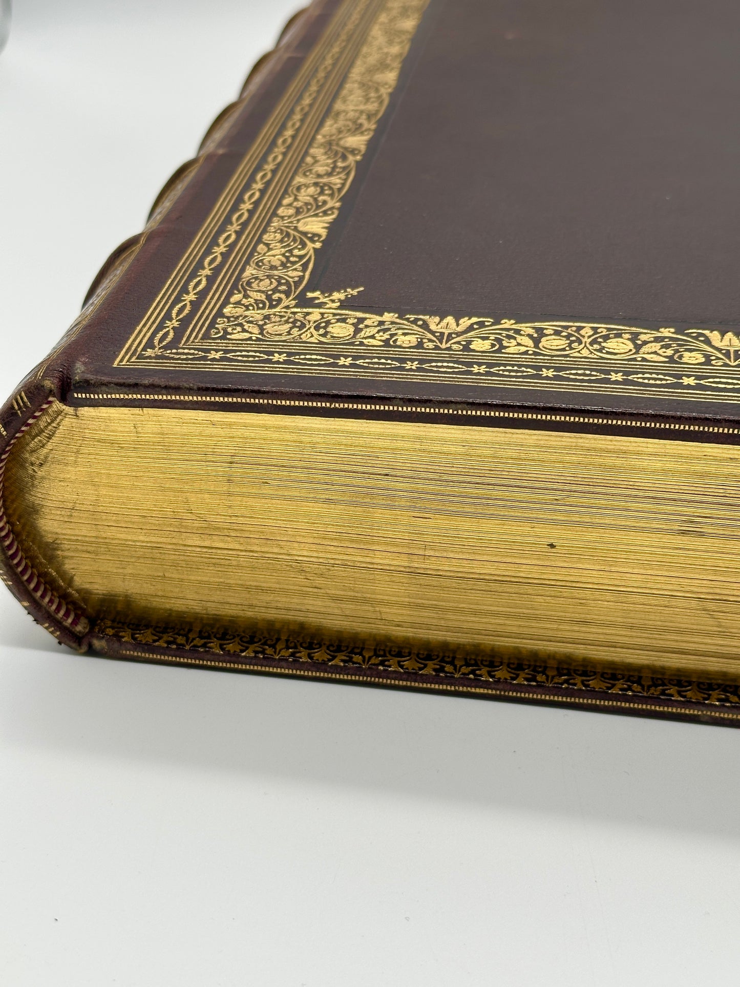A Monograph of the Nectariniidae, or Family of Sun-Birds by G.E. Shelley