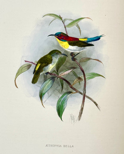 A Monograph of the Nectariniidae, or Family of Sun-Birds by G.E. Shelley