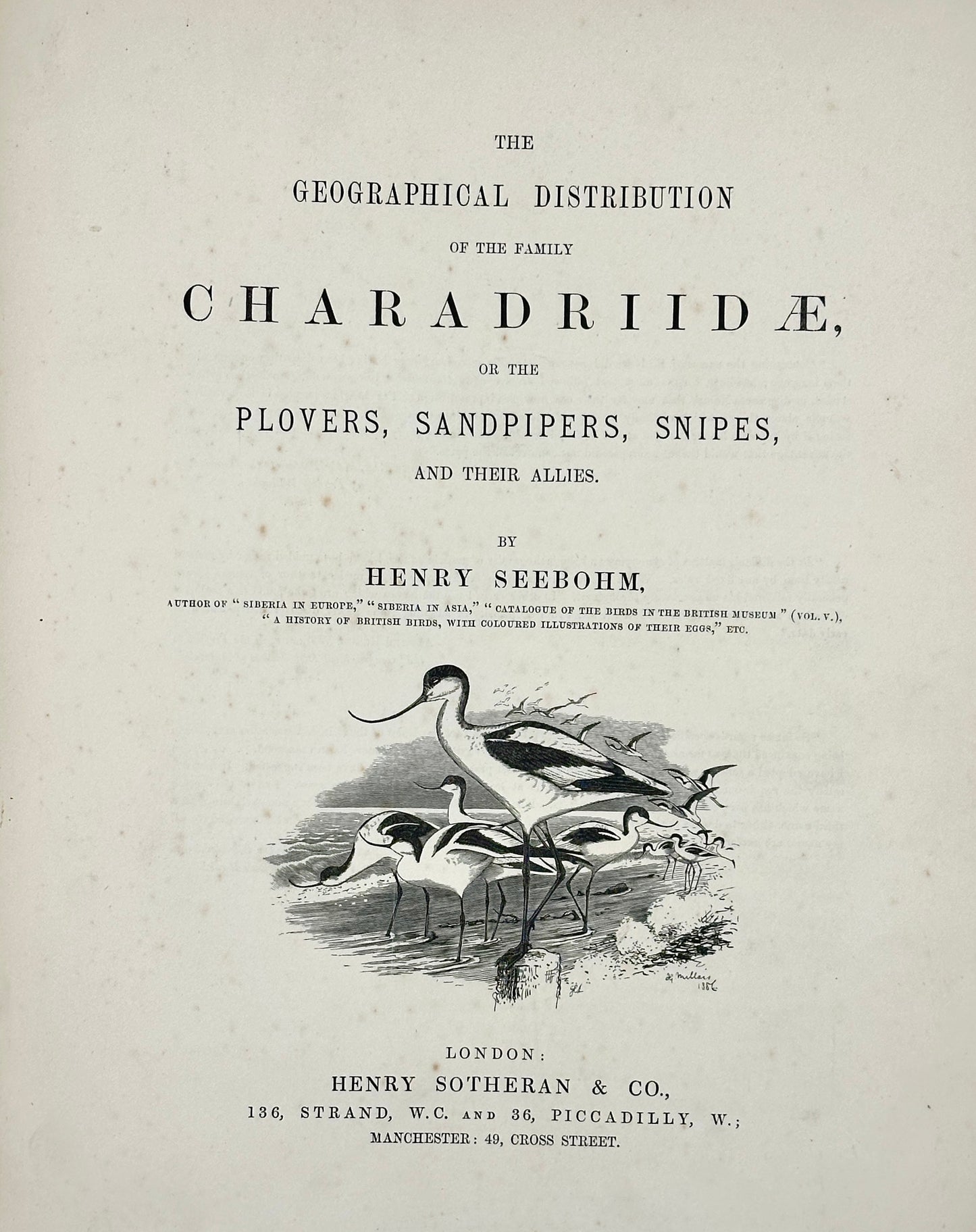 The Geographical Distribution of the Family Charadriidae or the Plovers, Sandpipers, Snipes and their Allies by Henry Seebohm