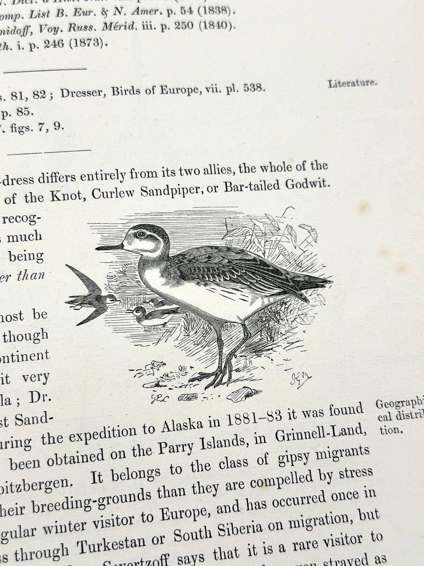 The Geographical Distribution of the Family Charadriidae or the Plovers, Sandpipers, Snipes and their Allies by Henry Seebohm