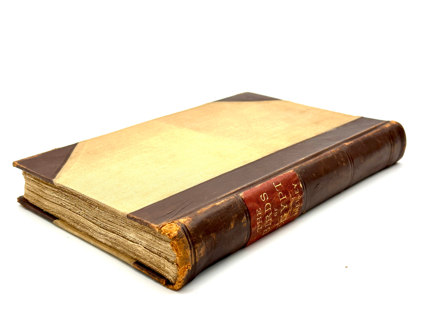 A Handbook to the Birds of Egypt by G.E. Shelley