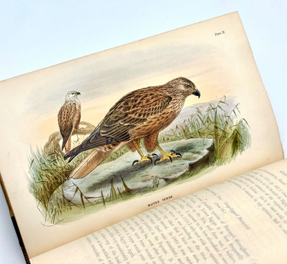 A Handbook to the Birds of Egypt by G.E. Shelley