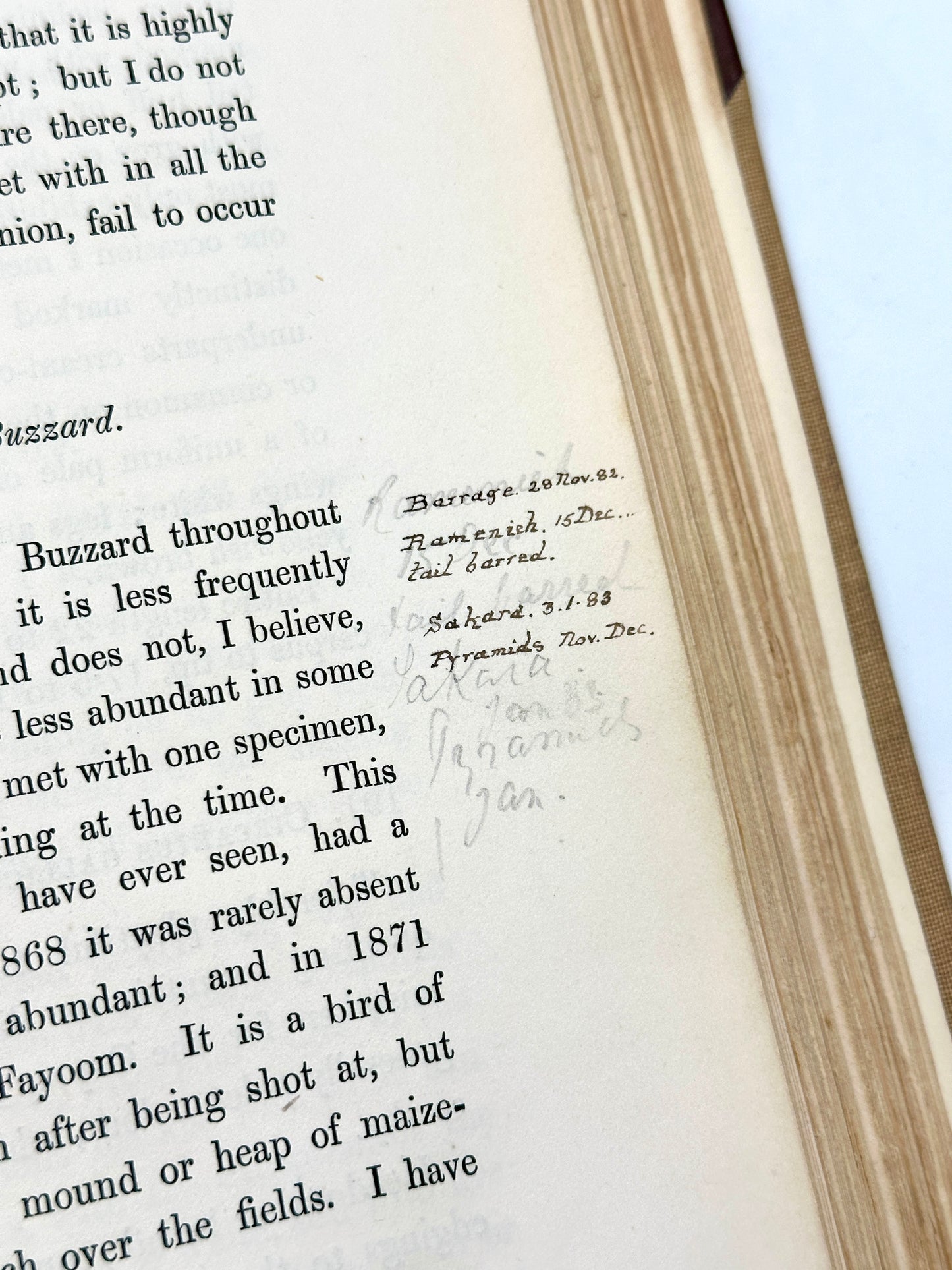 A Handbook to the Birds of Egypt by G.E. Shelley