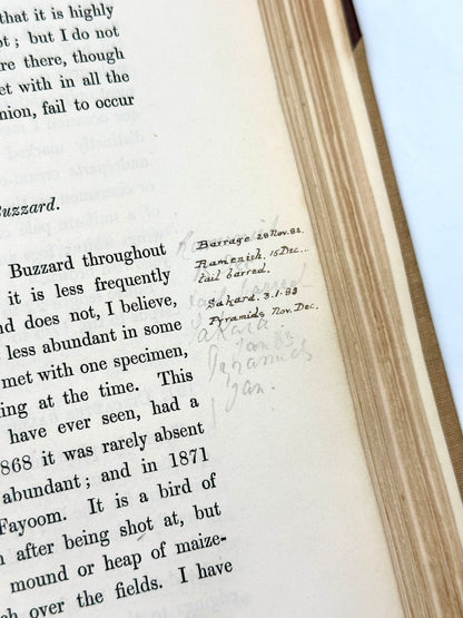 A Handbook to the Birds of Egypt by G.E. Shelley
