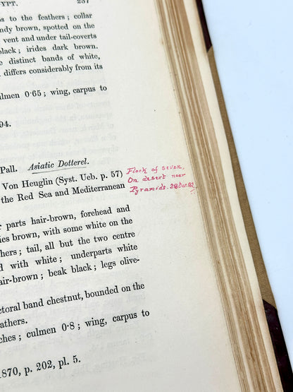 A Handbook to the Birds of Egypt by G.E. Shelley