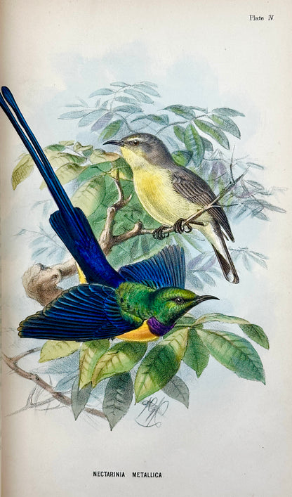 A Handbook to the Birds of Egypt by G.E. Shelley