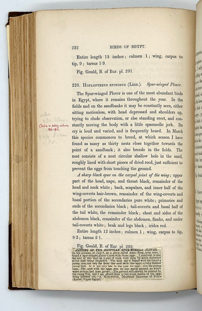 A Handbook to the Birds of Egypt by G.E. Shelley