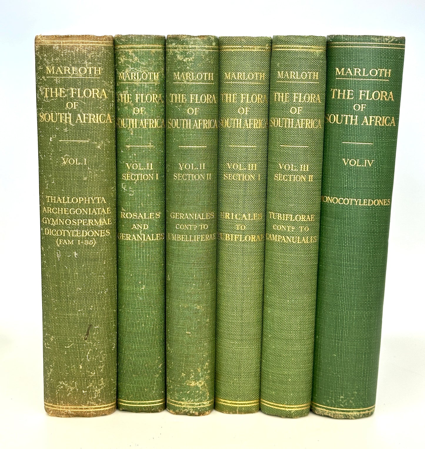 The Flora of South Africa by Rudloph Marloth