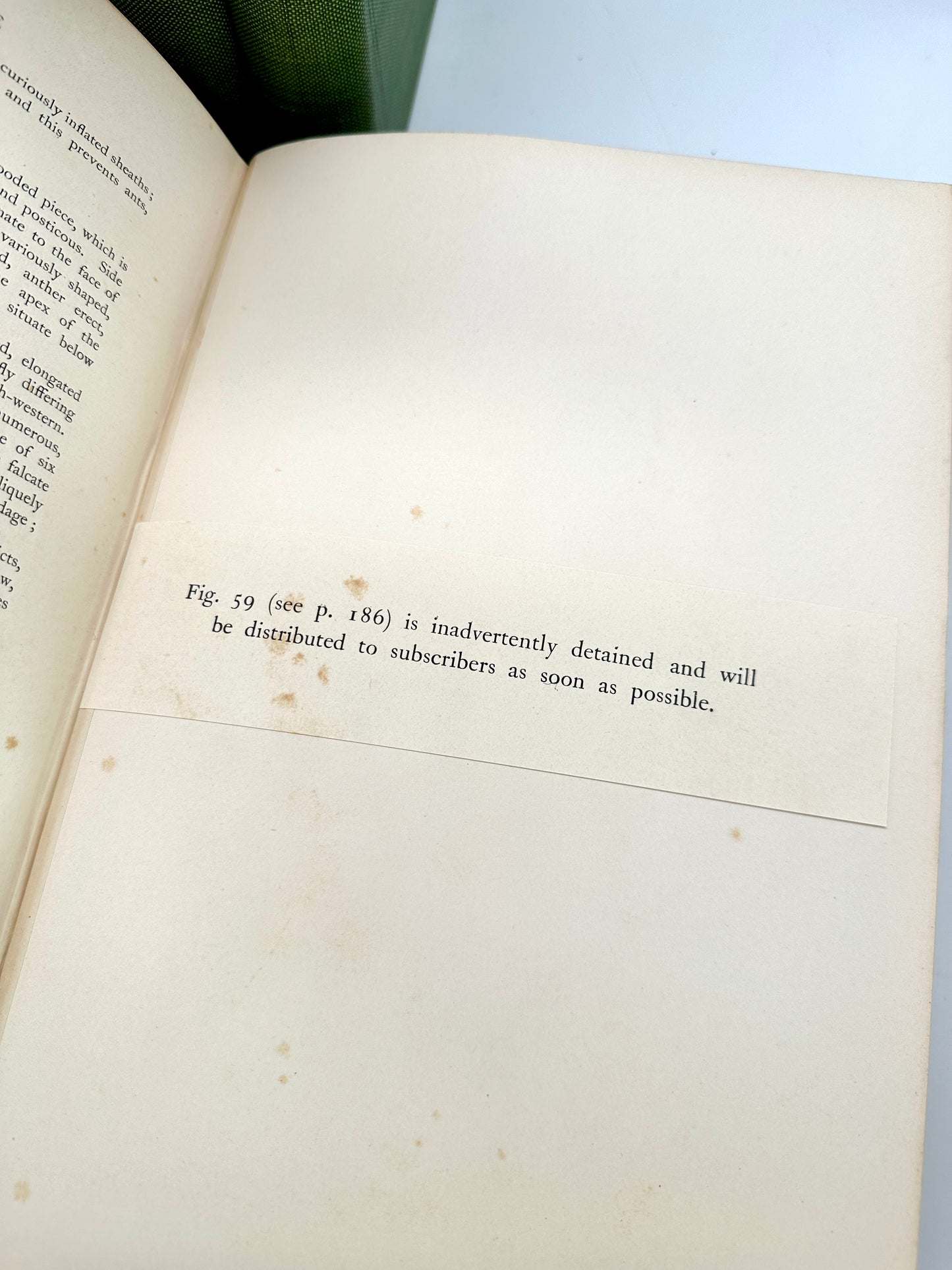 The Flora of South Africa by Rudloph Marloth