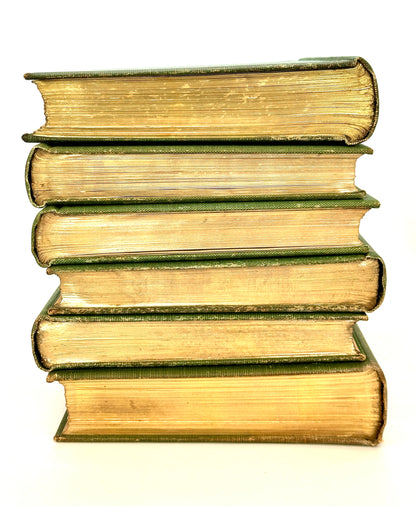 The Flora of South Africa by Rudloph Marloth