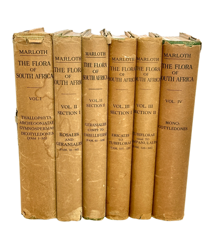 The Flora of South Africa by Rudloph Marloth