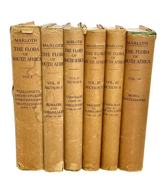 The Flora of South Africa by Rudloph Marloth