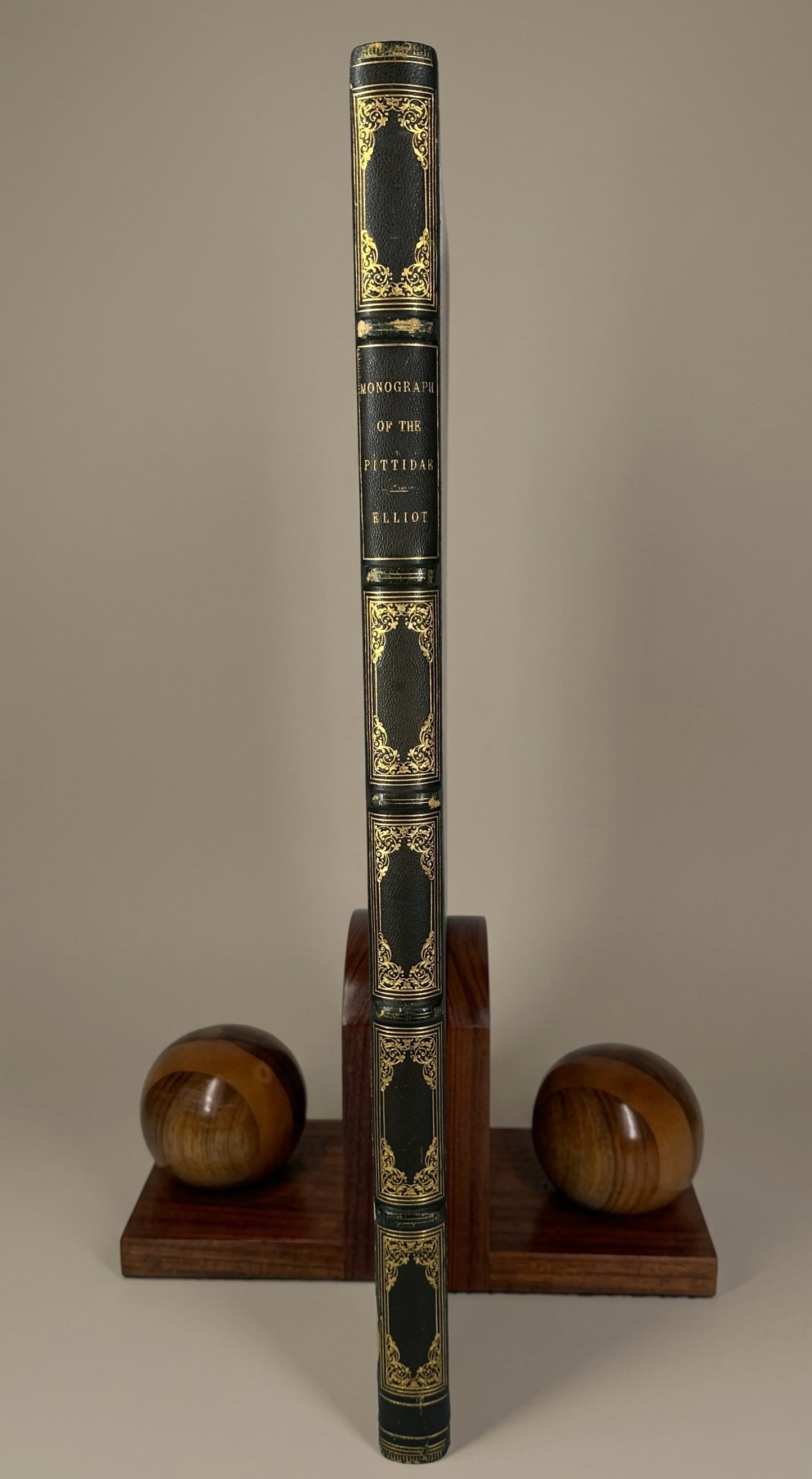 A Monograph of the Pittidae, or, Family of Ant Thrushes by D.G. Elliot (1st Edition)