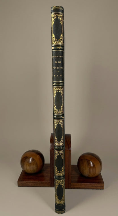 A Monograph of the Pittidae, or, Family of Ant Thrushes by D.G. Elliot (1st Edition)