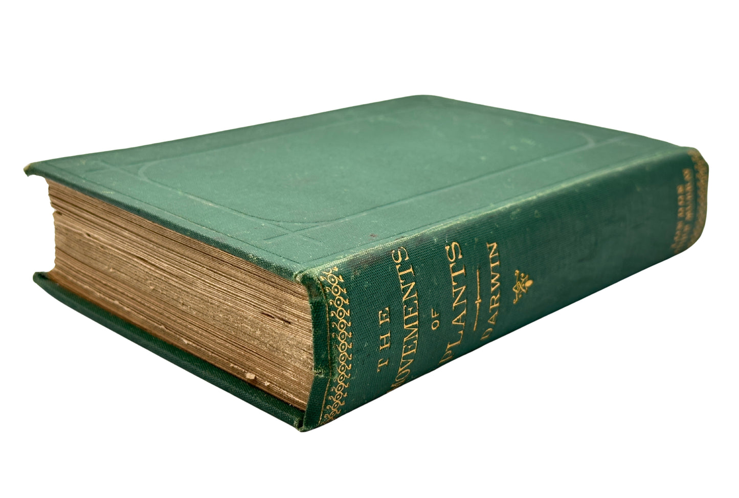 The Power of Movement in Plants by Charles Darwin (1st Edition)