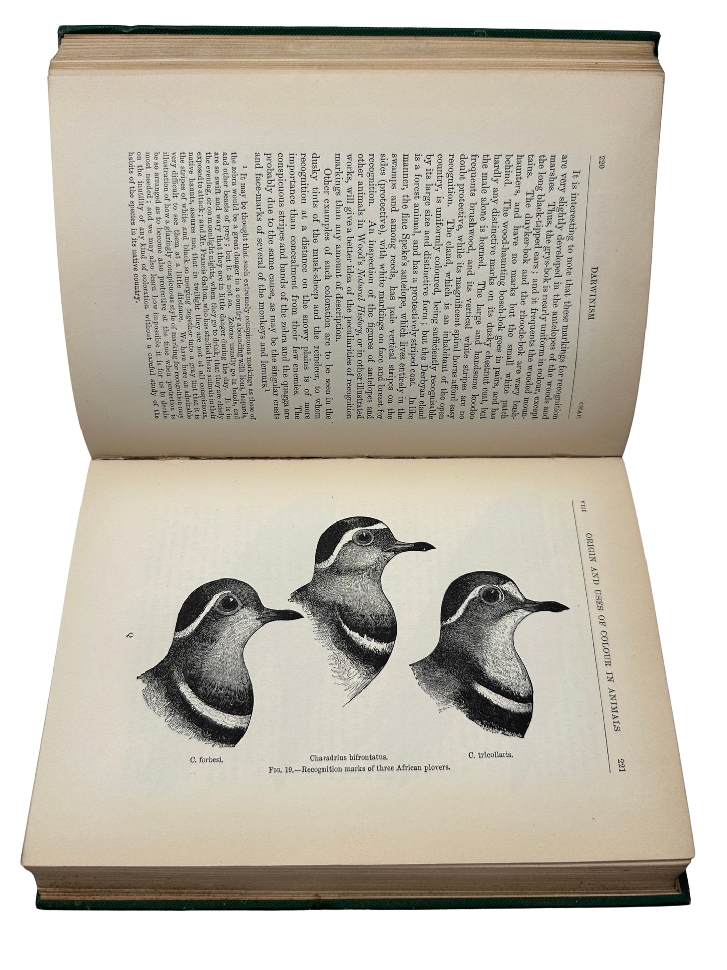 Darwinism by Alfred Russel Wallace