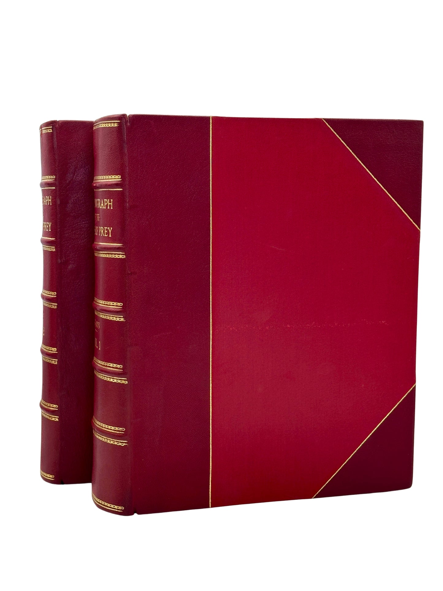 A Monograph of the Birds of Prey by H. Kirke Swann and A. Wetmore (ed.)
