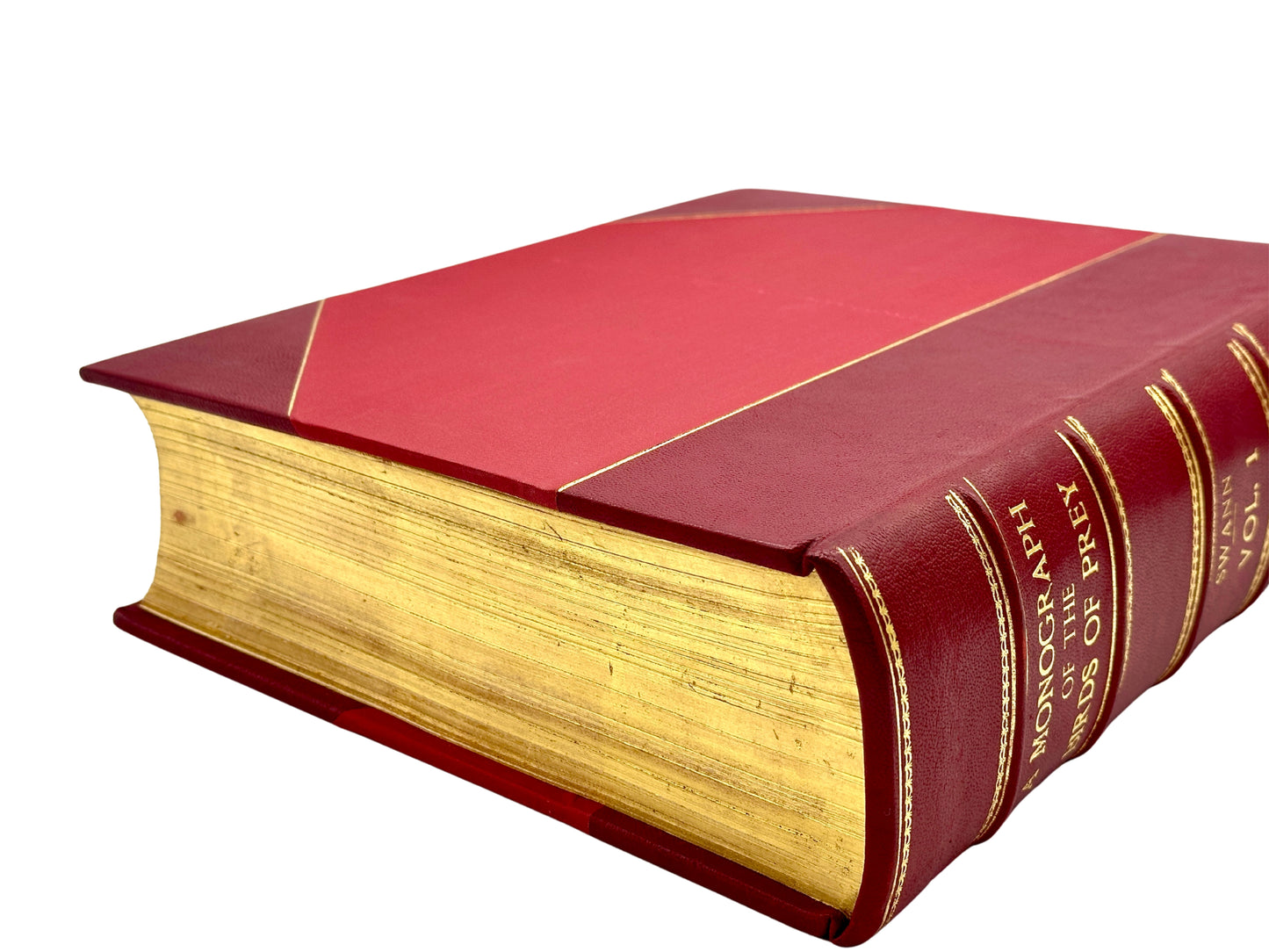 A Monograph of the Birds of Prey by H. Kirke Swann and A. Wetmore (ed.)