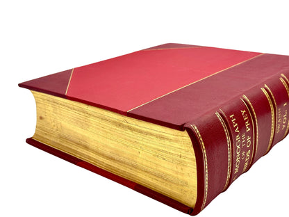A Monograph of the Birds of Prey by H. Kirke Swann and A. Wetmore (ed.)