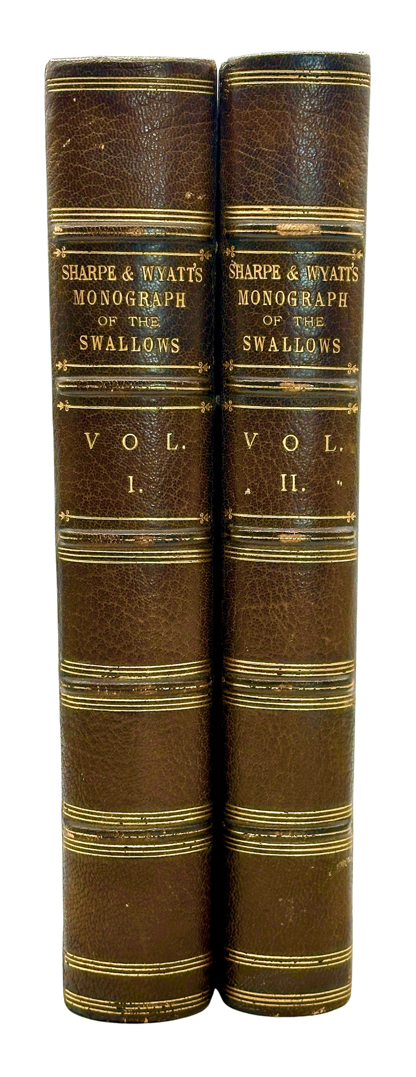 A Monograph of the Hirundiniddae or Family of Swallows by R. Bowdler Sharpe