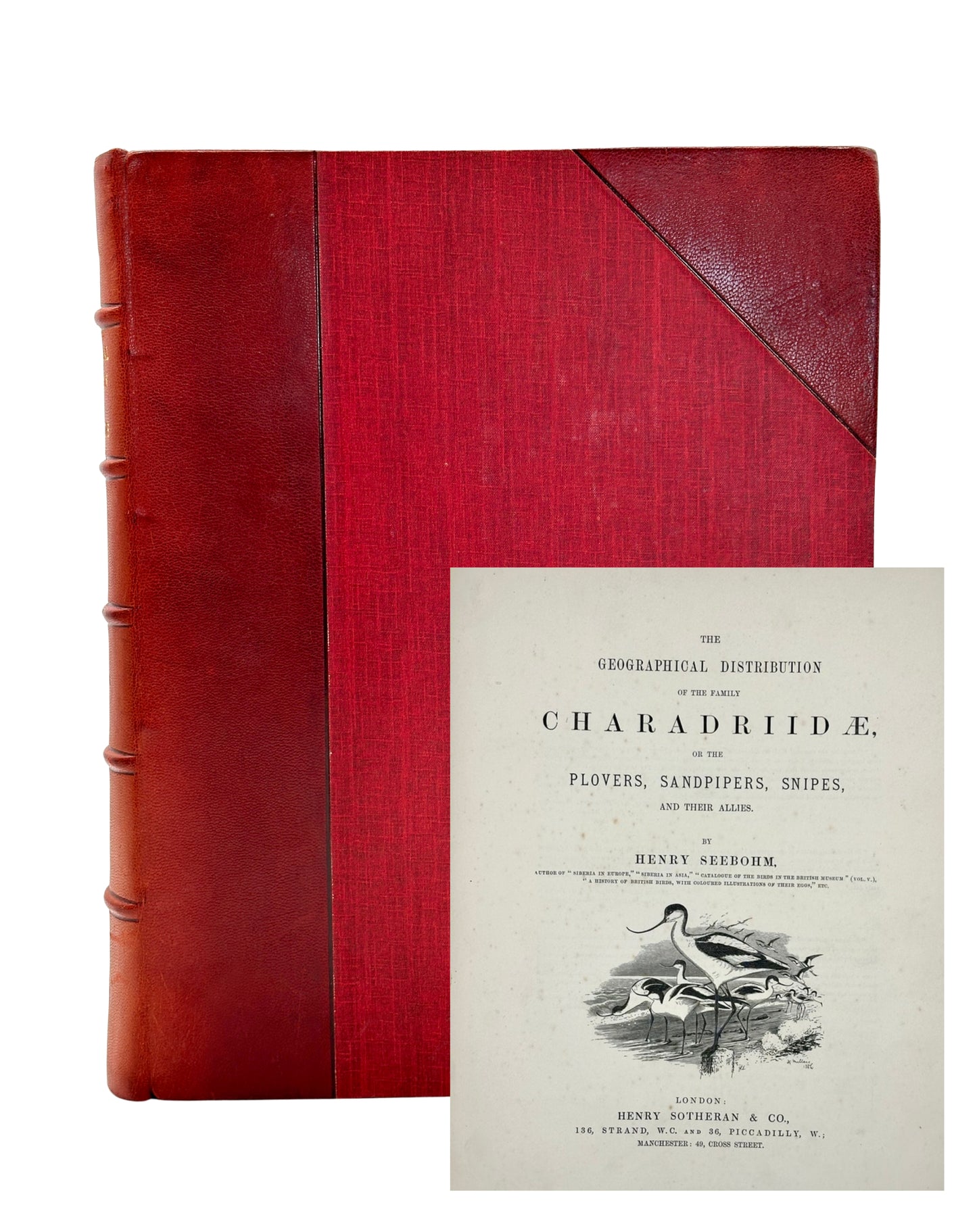 The Geographical Distribution of the Family Charadriidae or the Plovers, Sandpipers, Snipes and their Allies by Henry Seebohm