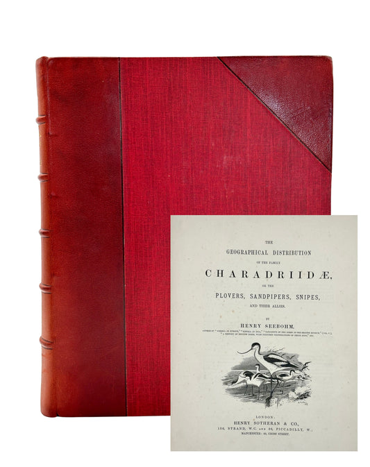 The Geographical Distribution of the Family Charadriidae or the Plovers, Sandpipers, Snipes and their Allies by Henry Seebohm