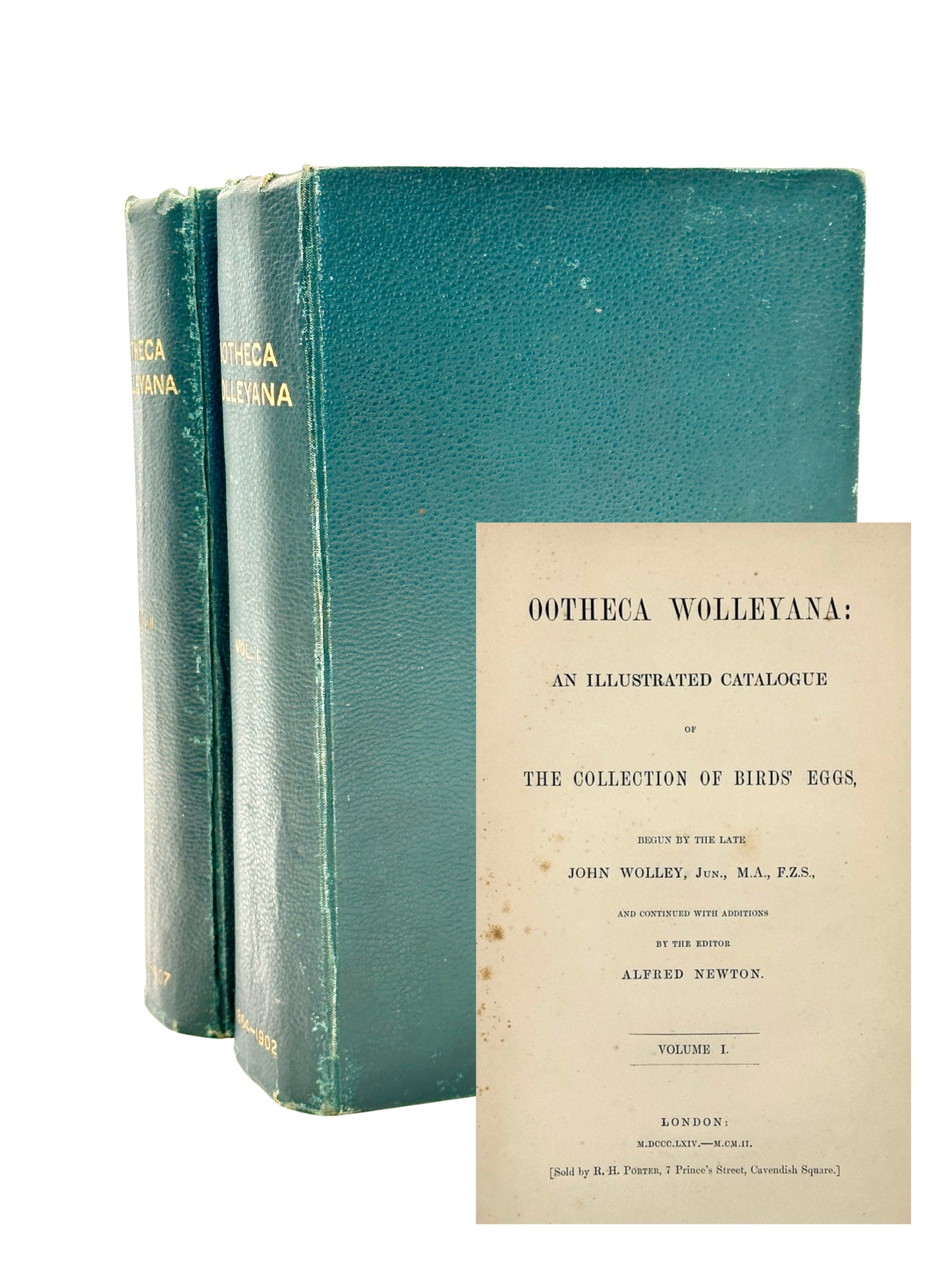 Ootheca Wolleyana by John Wolley and A. Newton (ed.)