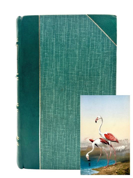 Explorations in South-West Africa by Thomas Baines (1st Edition)