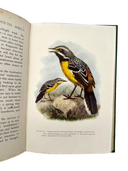 The Natural History of South Africa: Birds in Two Volumes by F.W. Fitzsimons