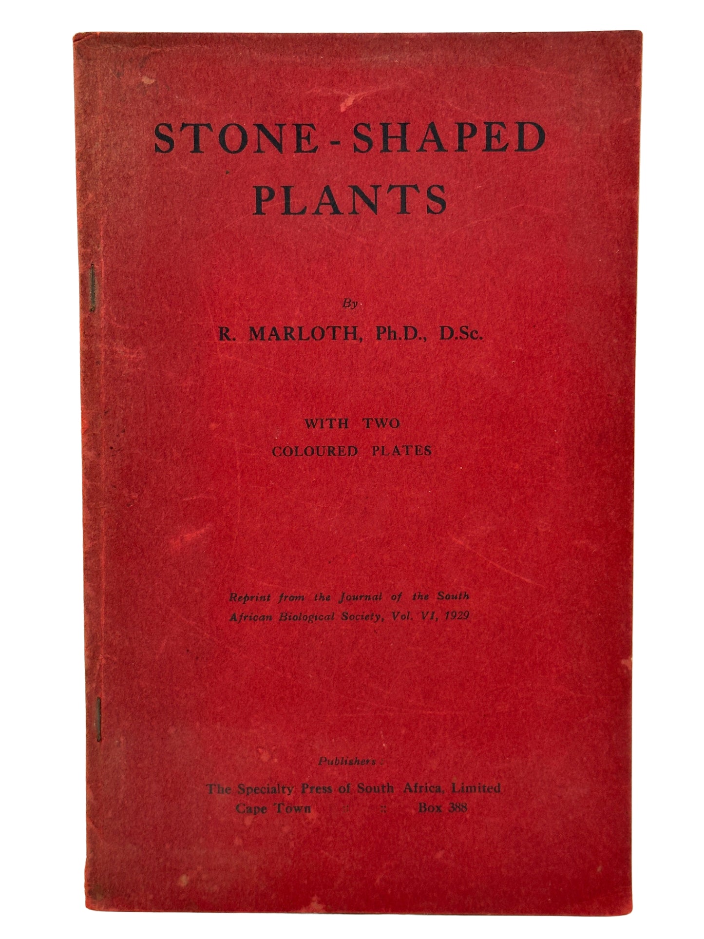 Stone-Shaped Plants by Rudolph Marloth
